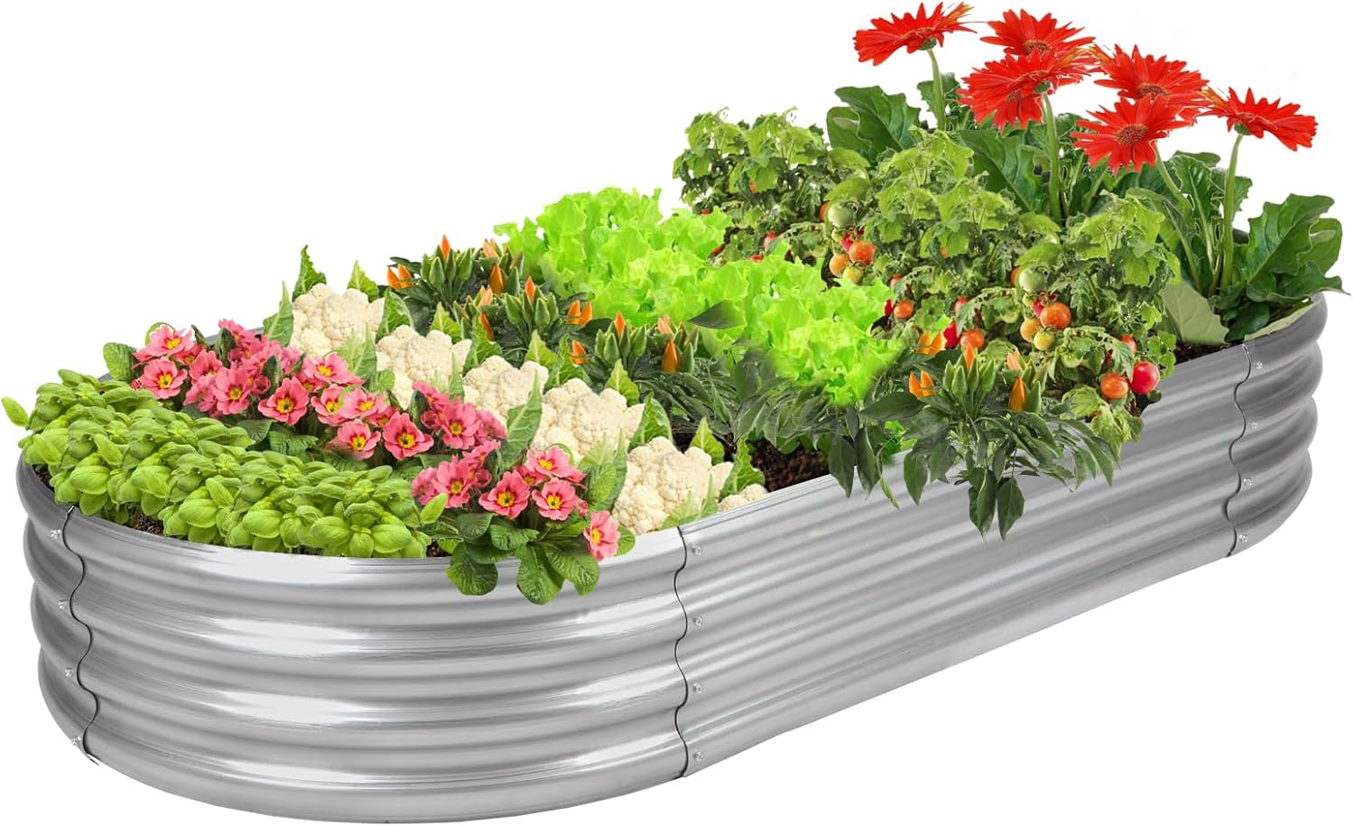 Planter Raised Metal - Овальная оцинкованная грядка-клумба GRS-сертифицированная, 6,5 футов,
